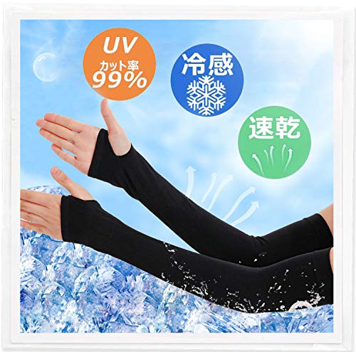 記事ID20464のサムネイル画像