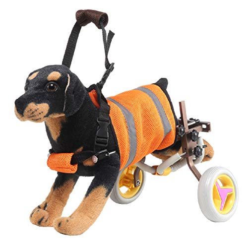 【2021年最新版】犬用車椅子の人気おすすめランキング10選のサムネイル画像