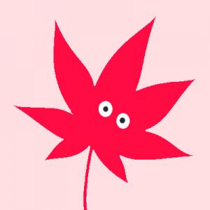もみじばさんの画像