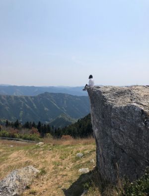 専門家プロフィール画像