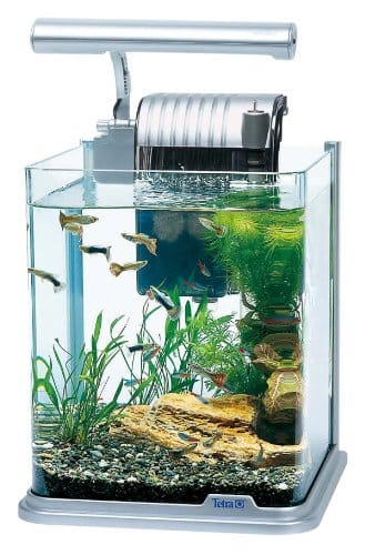 金魚水槽の人気おすすめランキング15選 快適な水槽空間を セレクト Gooランキング