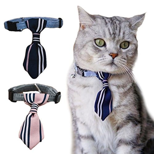 猫の首輪の人気おすすめランキング15選 嫌がらない 安全でストレスフリー セレクト Gooランキング