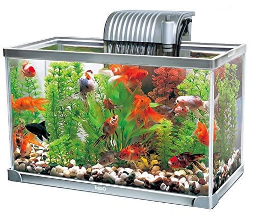 金魚の飼育水槽の人気おすすめランキング15選 21年最新 セレクト Gooランキング