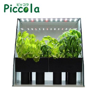 水耕栽培キットの人気おすすめランキング選 花や野菜を自宅で栽培 セレクト Gooランキング