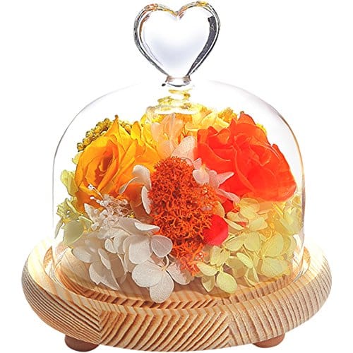 母の日におくる花の人気おすすめランキング15選 大切な母のために セレクト Gooランキング