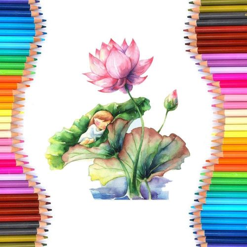 水彩色鉛筆の人気おすすめランキング10選 72色やバラ売りや白も セレクト Gooランキング