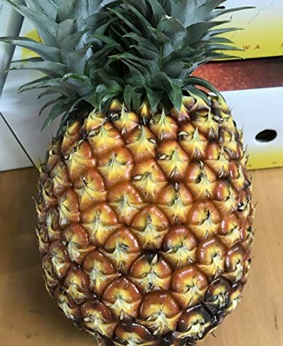 21年最新版 石垣島お土産の人気おすすめランキング25選 鉄板お菓子や雑貨 アクセサリーも セレクト Gooランキング