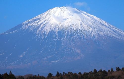 記事番号:11986/アイテムID:5695763の画像