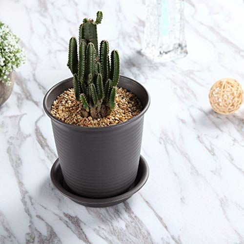 観葉植物の鉢の人気おすすめランキング15選 鉢カバー兼用 おしゃれ セレクト Gooランキング