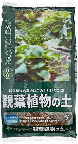 観葉植物の土の人気おすすめランキング15選 観葉植物の水やりも紹介 セレクト Gooランキング