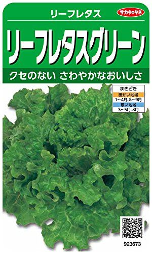 プランター ベランダで育てやすい野菜の人気ランキング15選 初心者向け セレクト Gooランキング