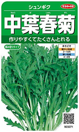 プランター ベランダで育てやすい野菜の人気ランキング15選 初心者向け セレクト Gooランキング