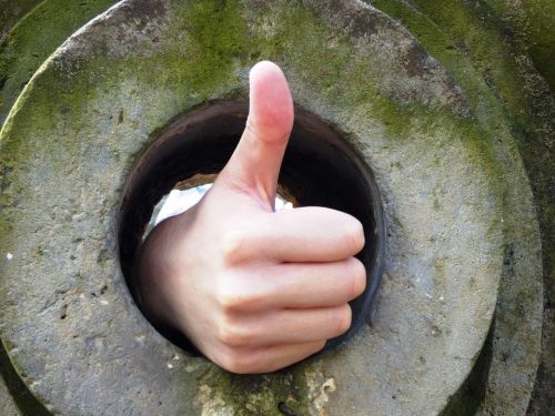 東京の水は安全 飲んでも大丈夫 東京の水の美味しさは 並み セレクト Gooランキング