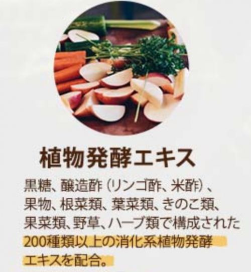 記事番号:19599/アイテムID:6309742の画像