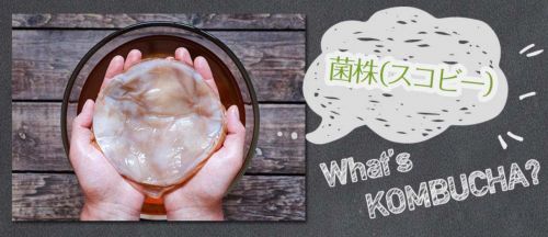 記事番号:19599/アイテムID:6310190の画像