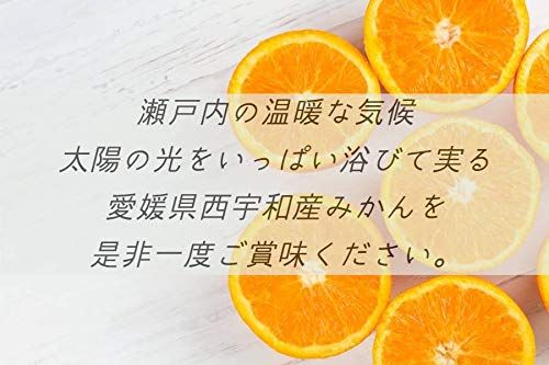 美味しいみかんの人気おすすめランキング15選 産地から取り寄せ セレクト Gooランキング