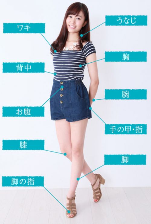 記事番号:19883/アイテムID:6348423の画像