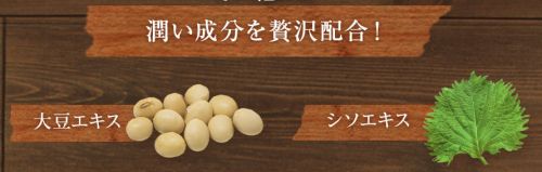記事番号:19883/アイテムID:6375099の画像