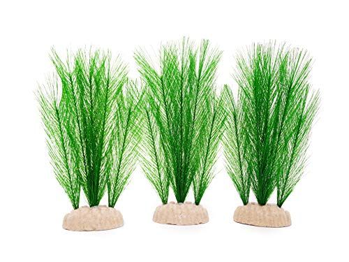 メダカの飼育にぴったりな水草の人気おすすめランキング15選 初心者でも安心 セレクト Gooランキング