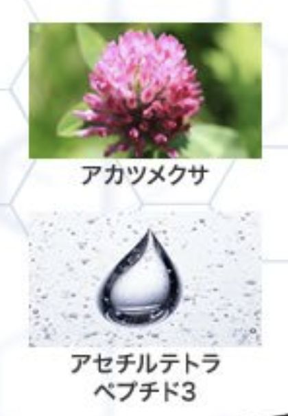 記事番号:20843/アイテムID:6429315の画像