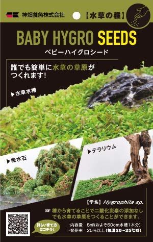 熱帯魚の水草人気おすすめランキング15選 メダカや金魚鉢にも セレクト Gooランキング