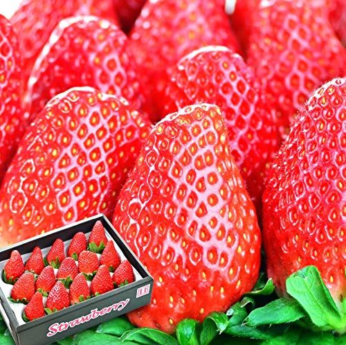 通販で買えるいちごのお取り寄せ人気おすすめランキング10選 セレクト Gooランキング
