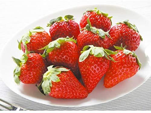 通販で買えるいちごのお取り寄せ人気おすすめランキング10選 セレクト Gooランキング