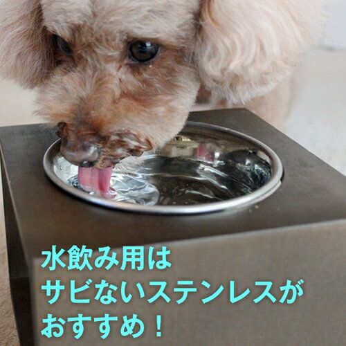 犬用水入れの人気おすすめランキング10選 素材や便利な機能まで セレクト Gooランキング 犬用水入れの人気おすすめランキング10選 素材や便利な機能まで セレクト Gooランキング