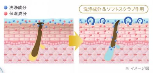 記事番号:21567/アイテムID:6503085の画像