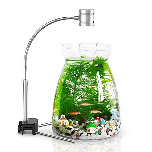 水草肥料の人気おすすめランキング10選 固形肥から液肥まで セレクト Gooランキング