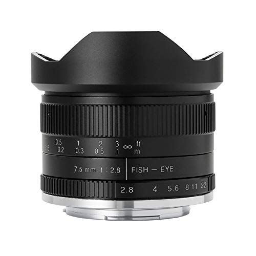 21年最新版 魚眼レンズの人気おすすめランキング15選 スマホ用も セレクト Gooランキング