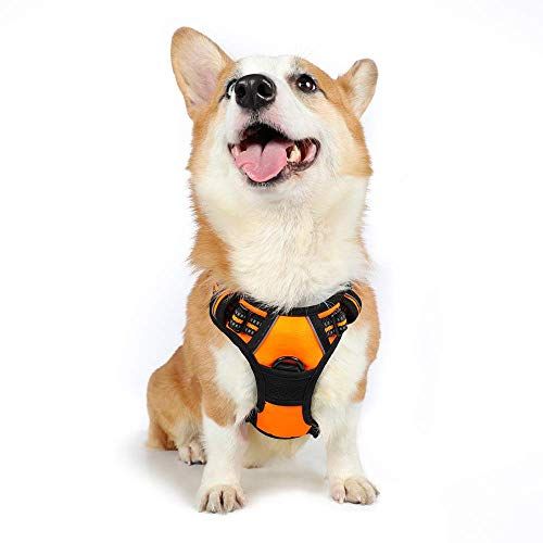 犬用ハーネスの人気おすすめランキング15選 おしゃれでかわいいものも セレクト Gooランキング