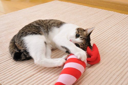 21年最新版 けりぐるみの人気おすすめランキング10選 エビや魚などかわいい形も セレクト Gooランキング