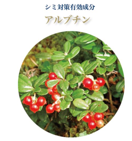 記事番号:23607/アイテムID:6793302の画像