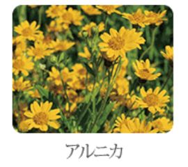 記事番号:23607/アイテムID:6793306の画像