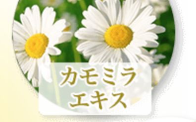記事番号:23607/アイテムID:6793310の画像