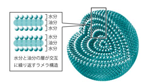記事番号:23607/アイテムID:6793319の画像