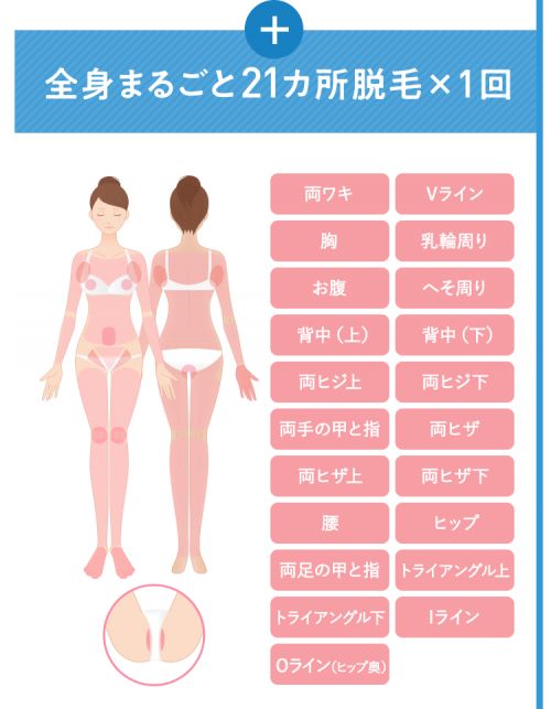 記事番号:23119/アイテムID:6912224の画像