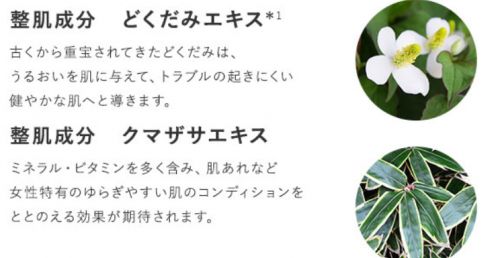 記事番号:23244/アイテムID:6945483の画像