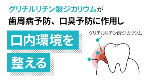 記事番号:23884/アイテムID:8713908の画像