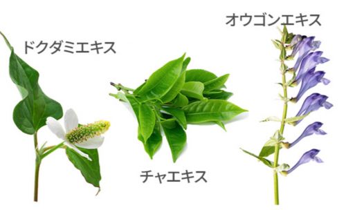 記事番号:23884/アイテムID:8713911の画像