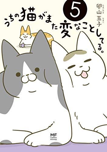 21年最新版 猫漫画の人気おすすめランキング15選 笑って泣けて癒される セレクト Gooランキング