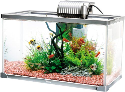 21年最新版 金魚水槽の人気おすすめランキング15選 おしゃれなレイアウトで快適空間を セレクト Gooランキング