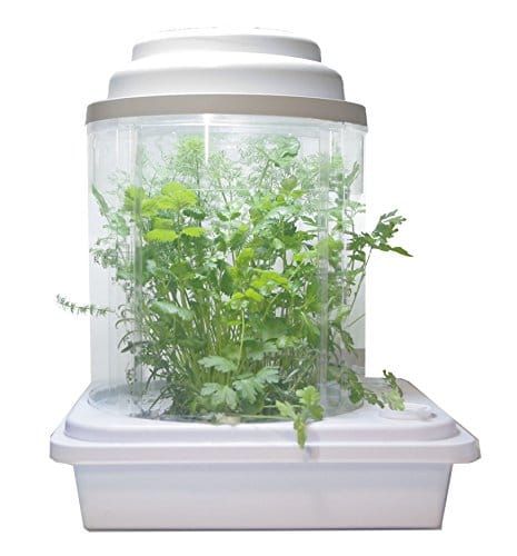 21年最新版 水耕栽培キットの人気おすすめランキング選 花や野菜を自宅で栽培 セレクト Gooランキング 21年最新版 水耕栽培キットの人気おすすめランキング選 花や野菜を自宅で栽培 セレクト Gooランキング