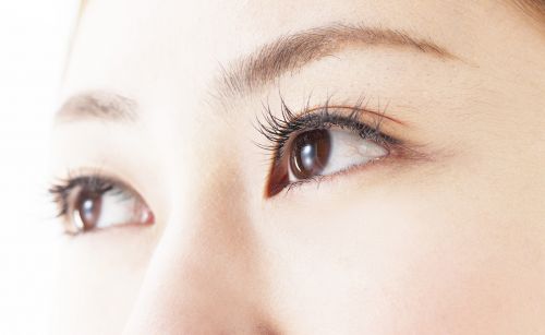 聖心美容クリニックのリアルな評判や口コミを調査 料金やプランの紹介も セレクト Gooランキング