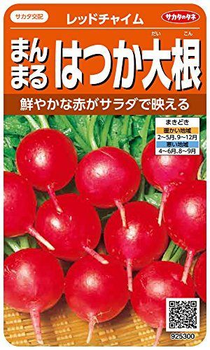 家庭菜園初心者に 育てやすい野菜の人気おすすめランキング15選 プランター ベランダで野菜を育てよう セレクト Gooランキング