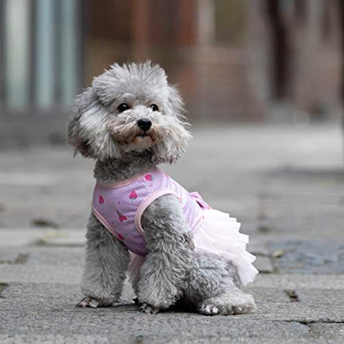 21年最新版 犬服の人気おすすめランキング選 手作りもできる セレクト Gooランキング