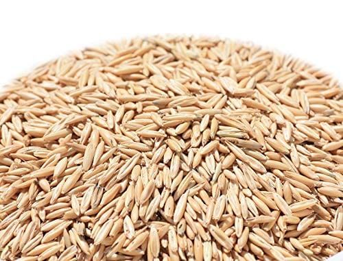 21年最新版 猫草の人気おすすめランキング15選 愛ネコの栄養補給に最適 セレクト Gooランキング