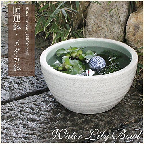 金魚鉢の人気おすすめランキング15選 21年最新版 セレクト Gooランキング