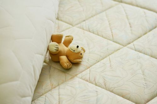 記事番号:9804/アイテムID:7945538の画像